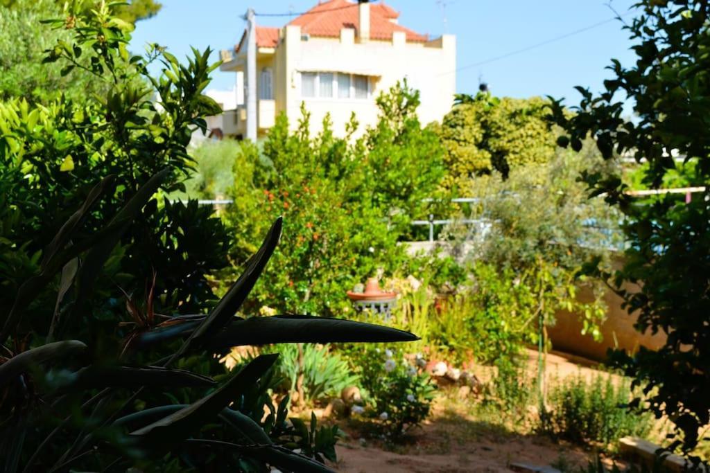 Sissy'S Relaxing Villa Artemida (Attica) Exterior foto